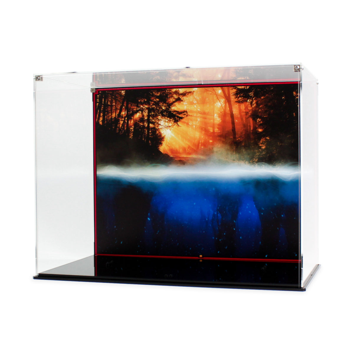 Empty 75810 display case showing the orange and blue forest background