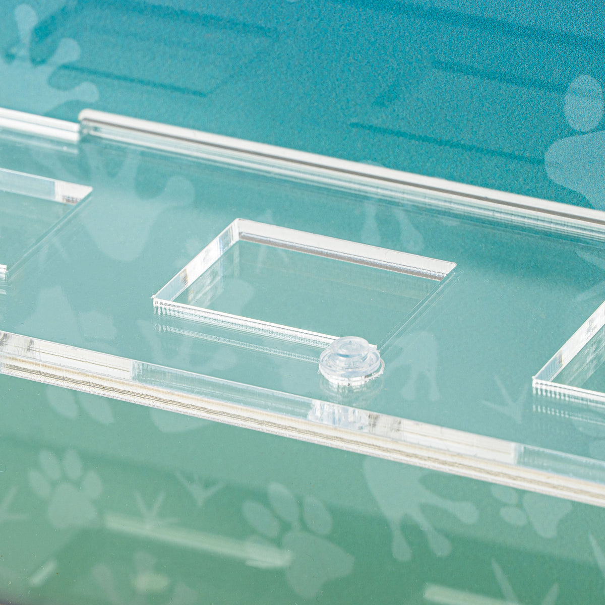 Acrylic display case construction detail for LEGO 71051 Animals Minifigures Series 28, view 6