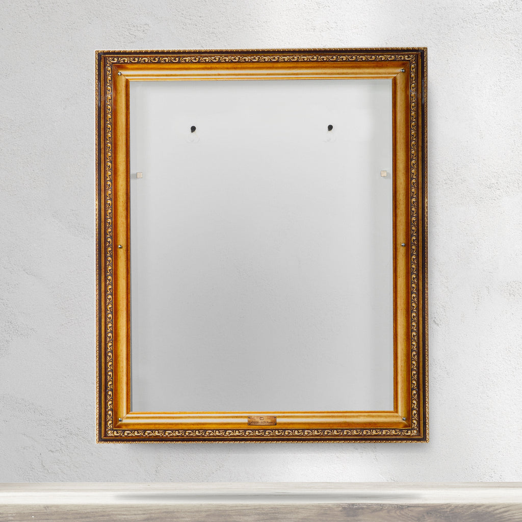 LEGO Claude Monet Water Lilies 31220: wall-mounted display case panels or base without the main LEGO build.