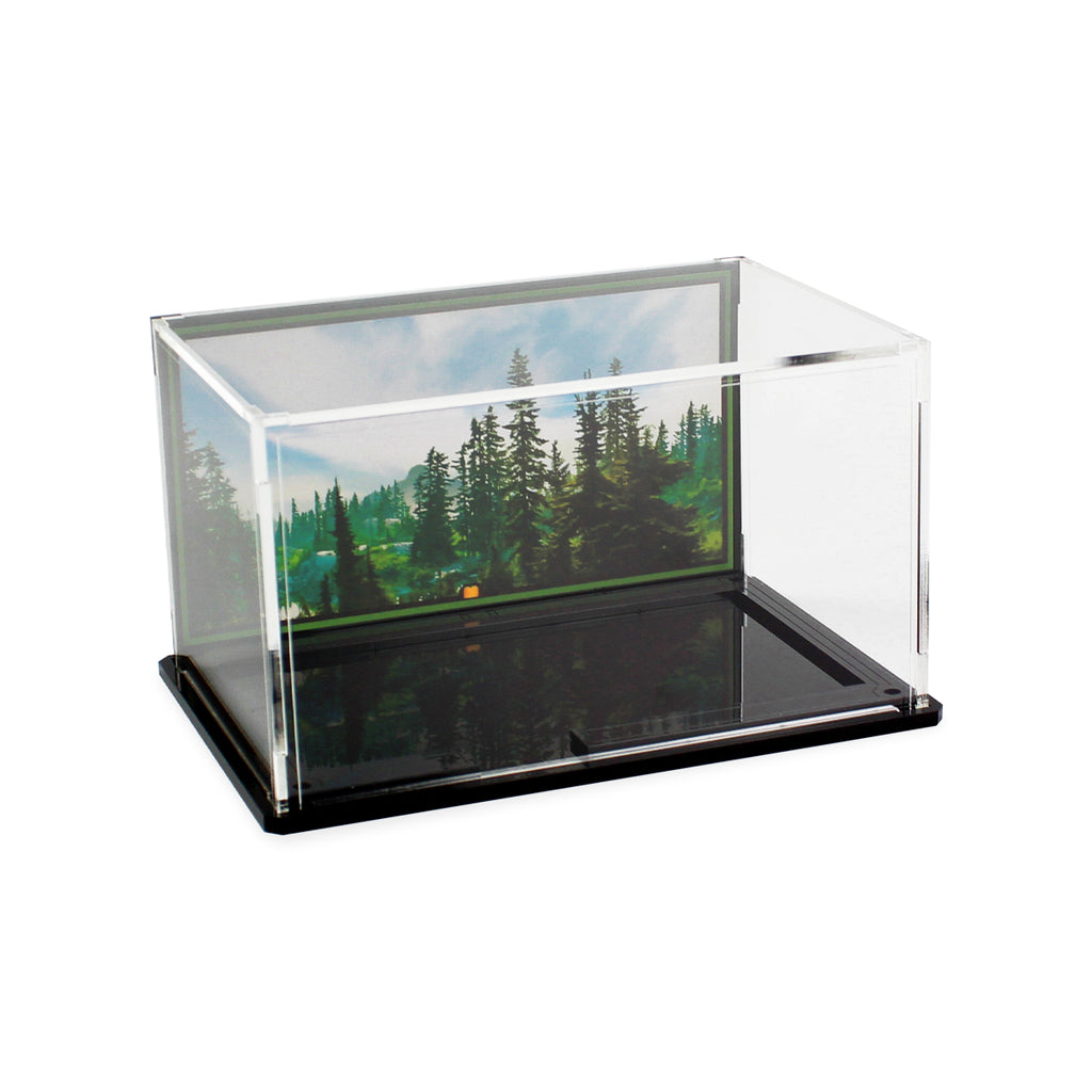 LEGO Battle of Endor 40362: empty case with the Endor backdrop.
