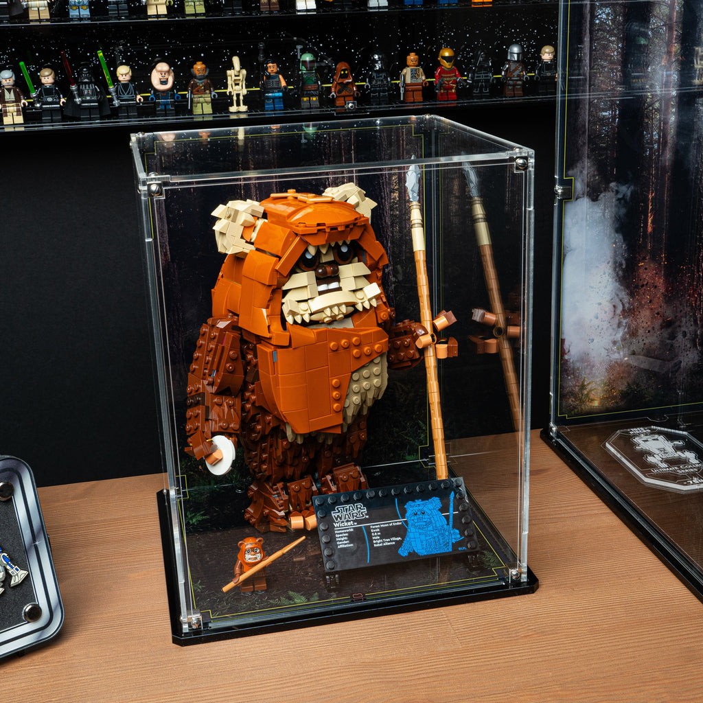 LEGO Wicket the Ewok 75430: model and display case shown together.