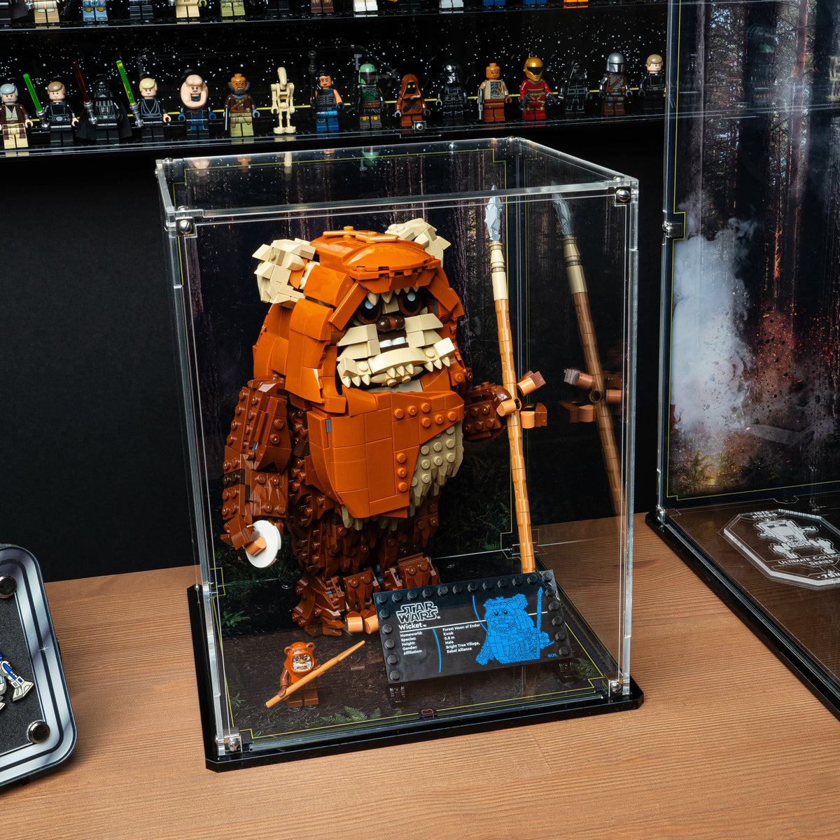 LEGO Wicket the Ewok 75430: model and display case shown together.