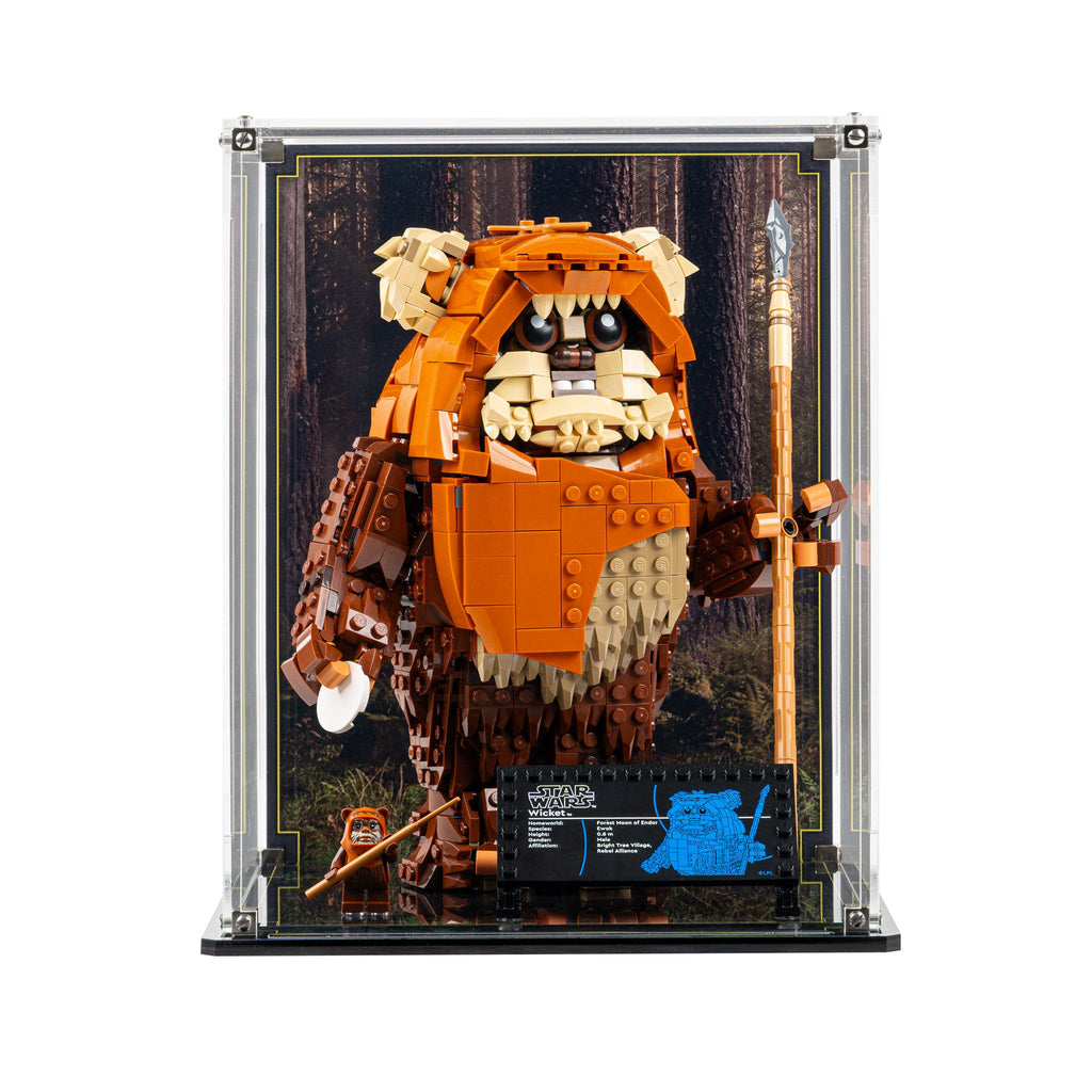 LEGO Wicket the Ewok 75430: model and display case shown together.