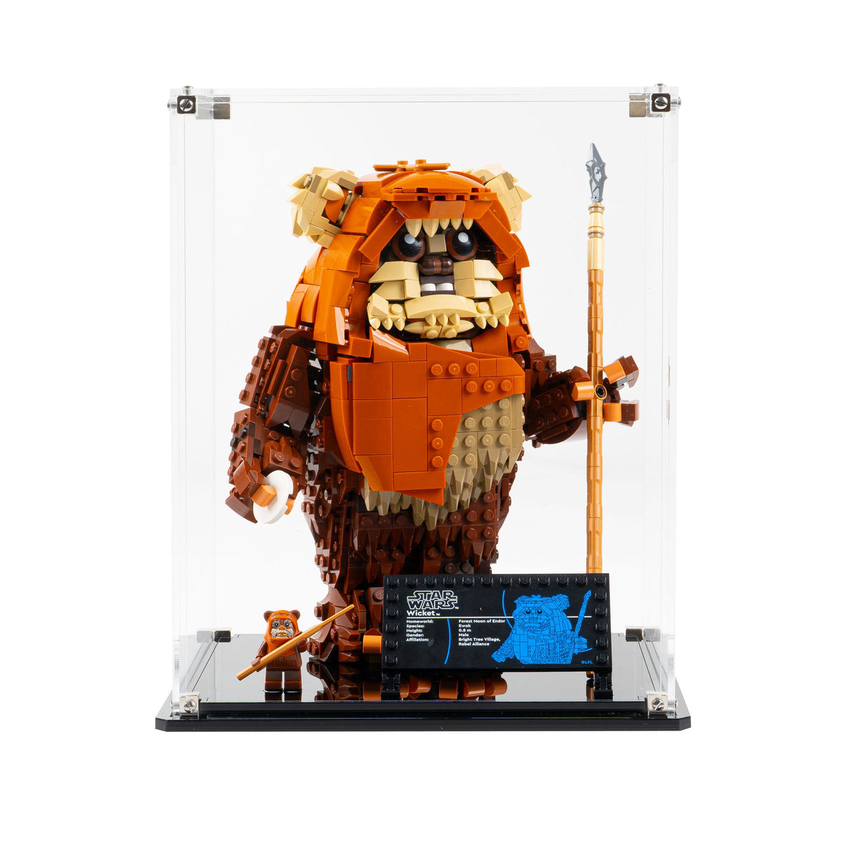 LEGO Wicket the Ewok 75430: model and display case shown together.