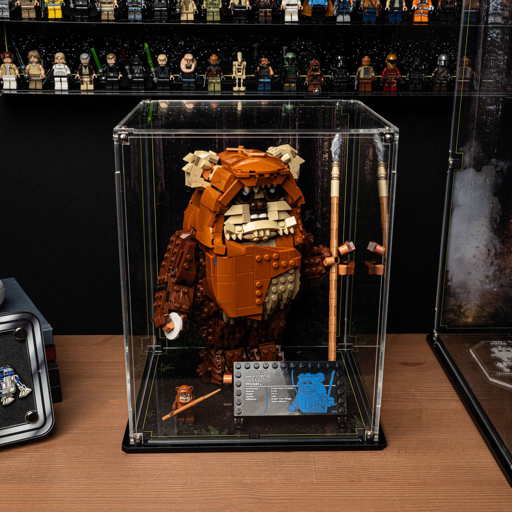 LEGO Wicket the Ewok 75430: model and display case shown together.