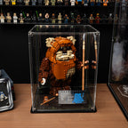 LEGO Wicket the Ewok 75430: model and display case shown together.