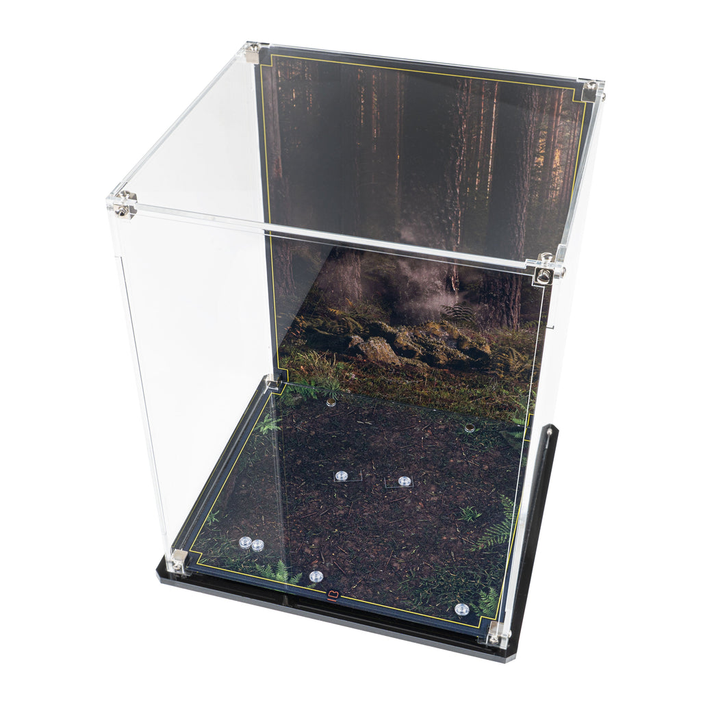 LEGO Wicket the Ewok 75430: display case panels or base without the main LEGO build.