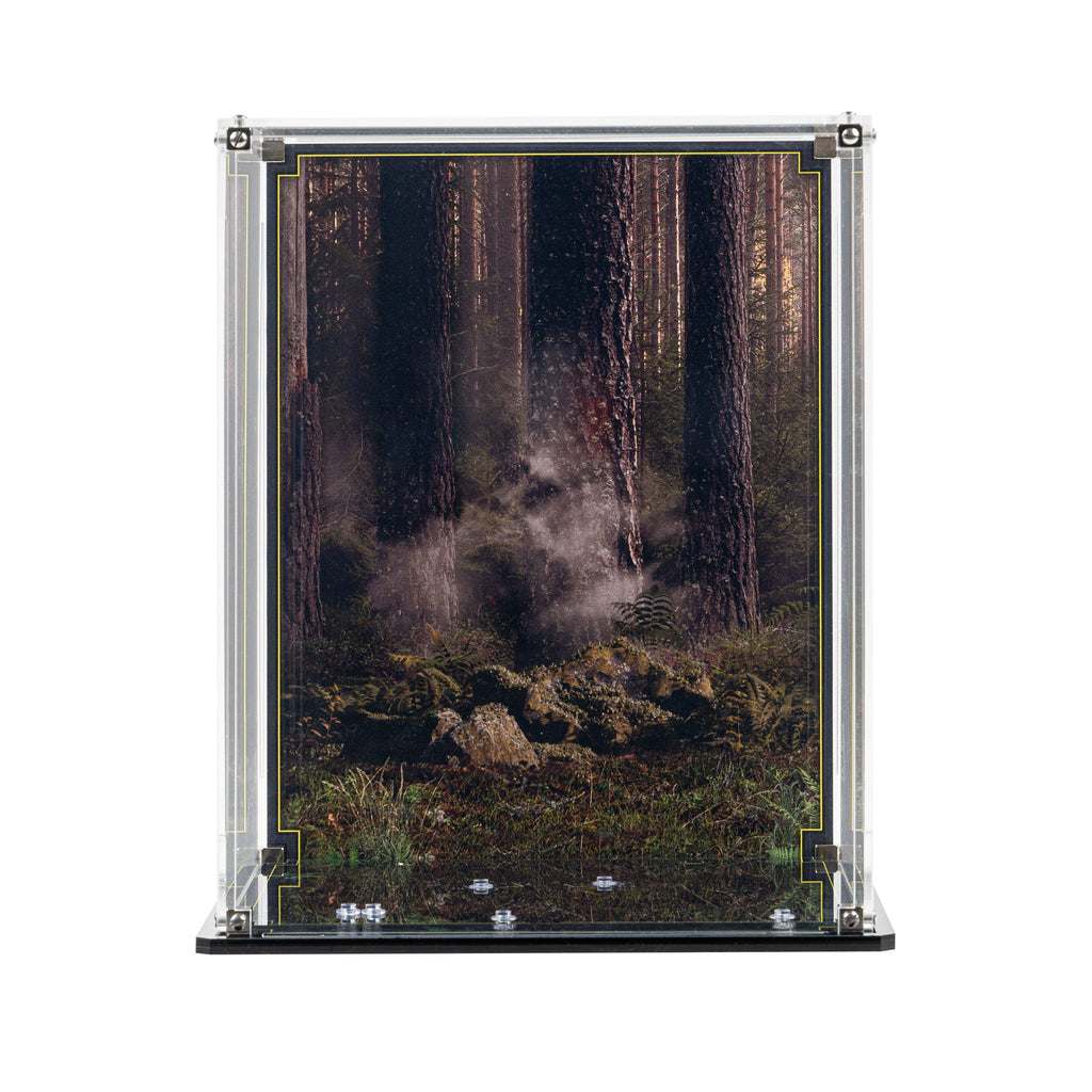 LEGO Wicket the Ewok 75430: display case panels or base without the main LEGO build.