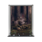 LEGO Wicket the Ewok 75430: display case panels or base without the main LEGO build.