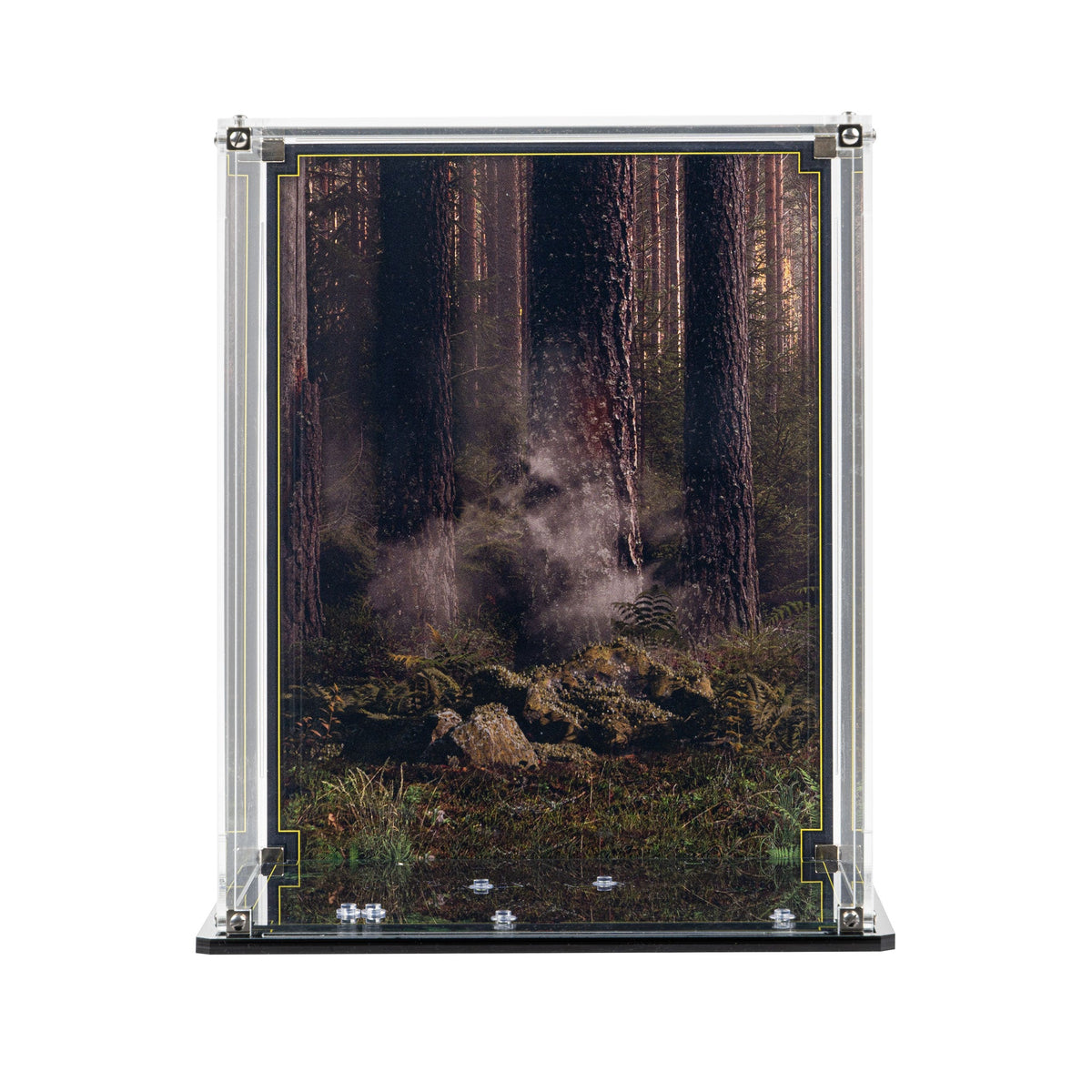 LEGO Wicket the Ewok 75430: display case panels or base without the main LEGO build.