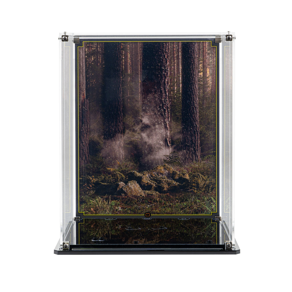 LEGO Wicket the Ewok 75430: display case panels or base without the main LEGO build.