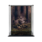LEGO Wicket the Ewok 75430: display case panels or base without the main LEGO build.