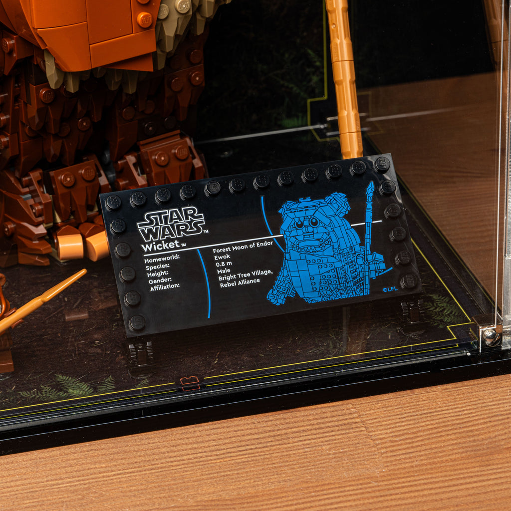 LEGO Wicket the Ewok 75430: close view of the display case construction or display arrangement.