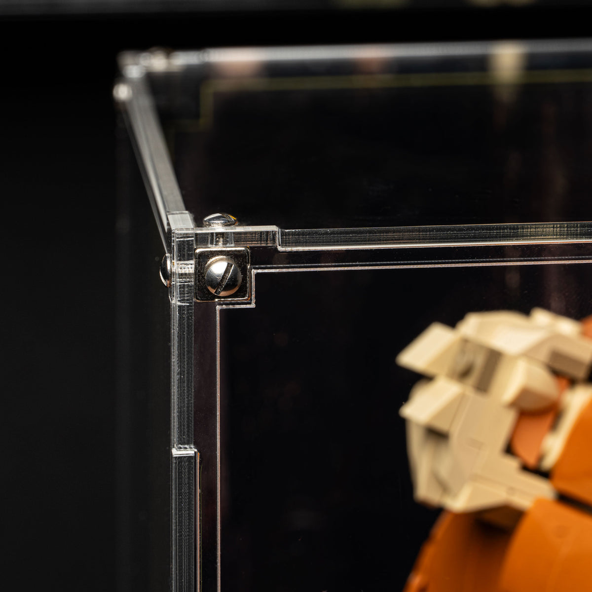 LEGO Wicket the Ewok 75430: close view of the display case construction or display arrangement.