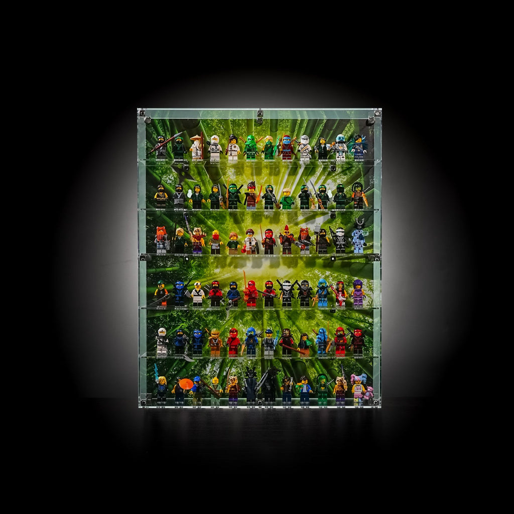 LEGO 71866 NINJAGO Minifigures — G02 display view